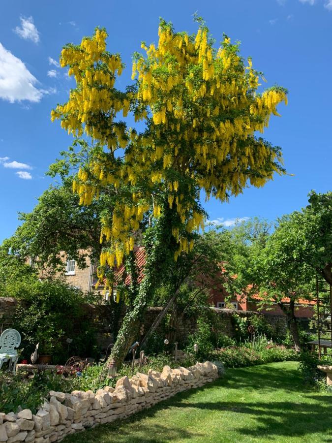 לינה וארוחת בוקר Heighington  Clarke'S Farm מראה חיצוני תמונה